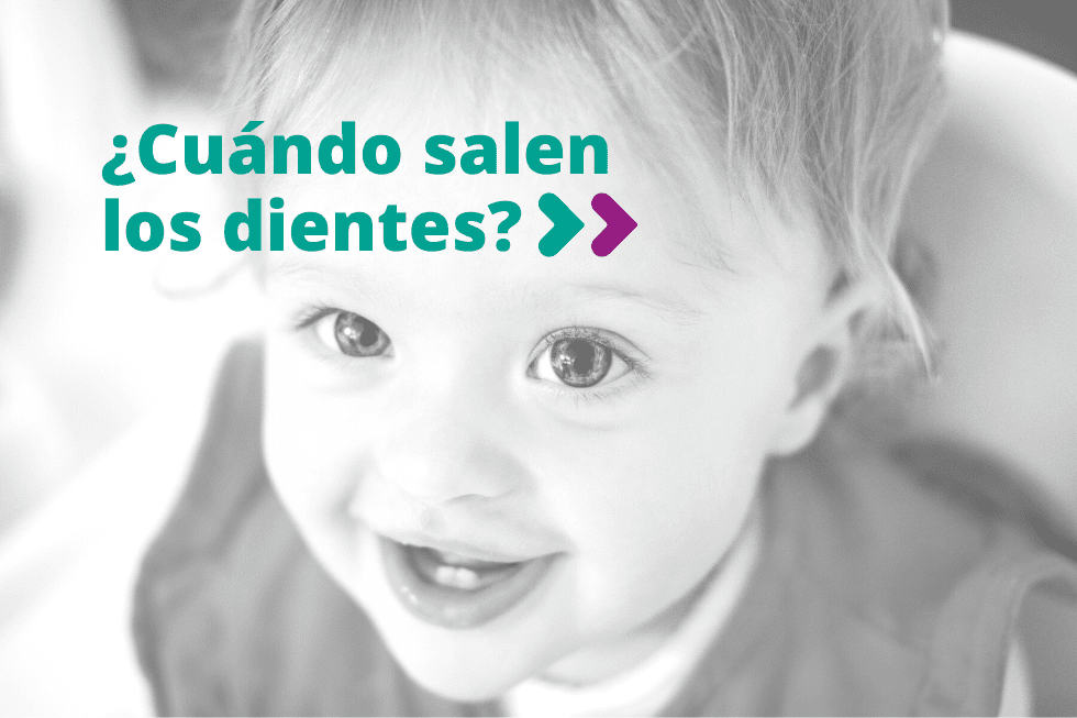 Cuándo salen los dientes